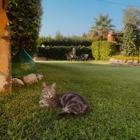 Il Sole Holiday home Casamassella
